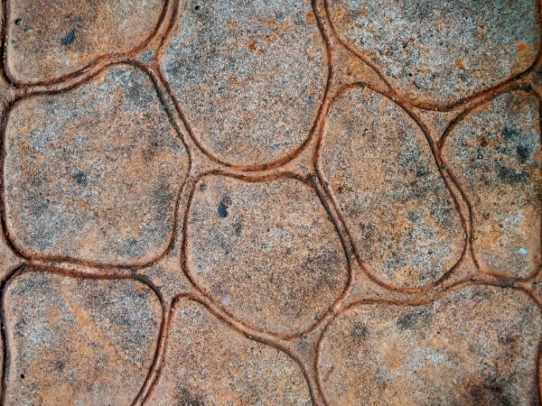 Concrete Stamping in Westfield