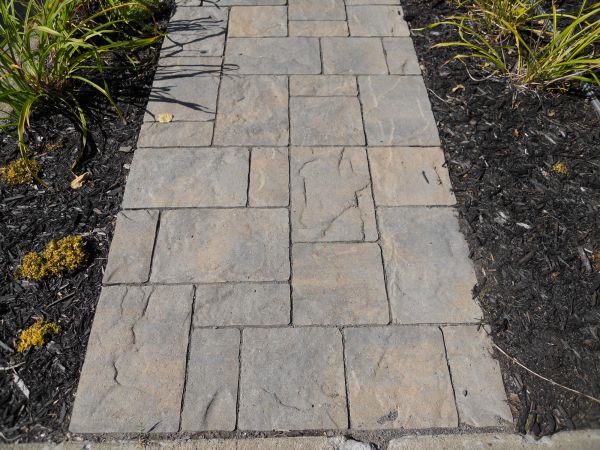 Stamped Concrete Staining in Westfield